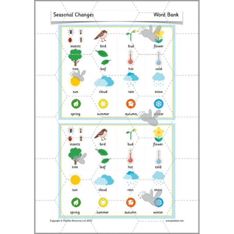 Seasonal Changes Year 1 Science Lesson Plans for KS1 — PlanBee