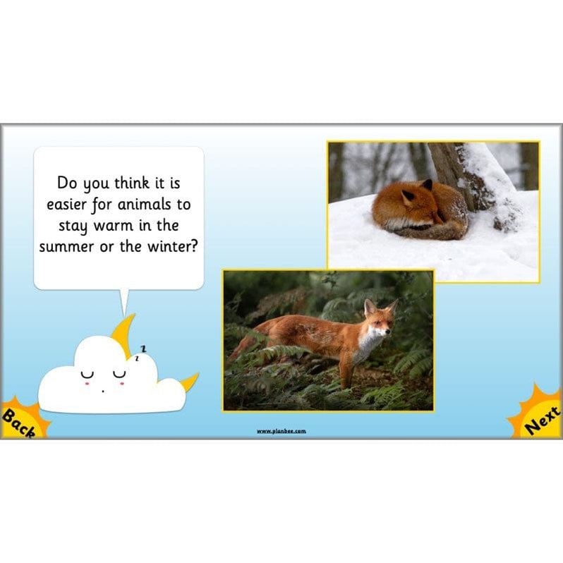 Seasonal Changes Year 1 Science Lesson Plans for KS1 — PlanBee