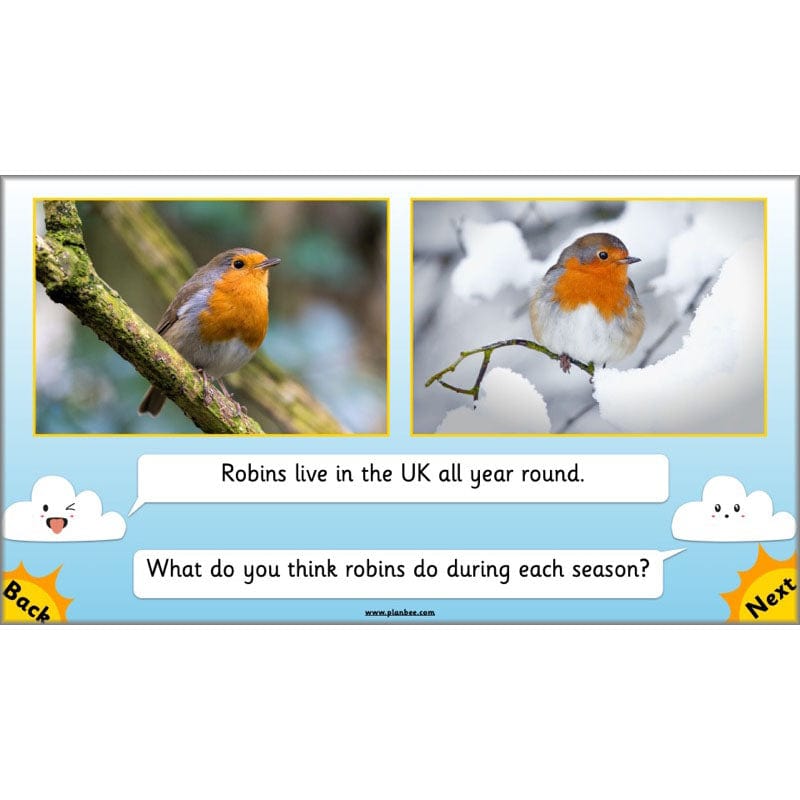 PlanBee Seasonal Changes Year 1 Science Lesson Plans for KS1