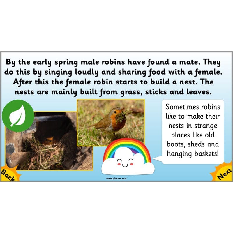 PlanBee Seasonal Changes Year 1 Science Lesson Plans for KS1