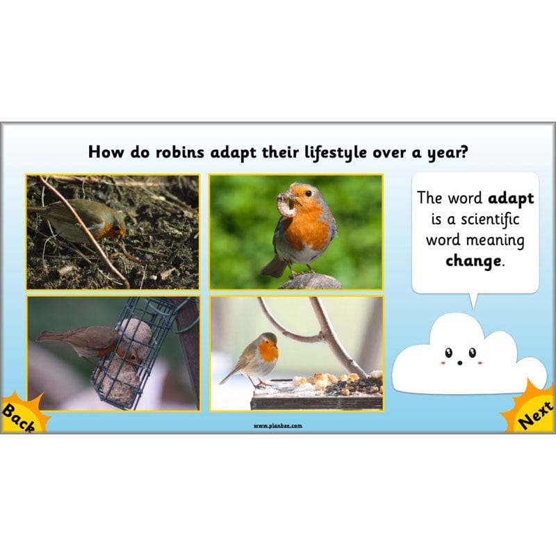 PlanBee Seasonal Changes Year 1 Science Lesson Plans for KS1