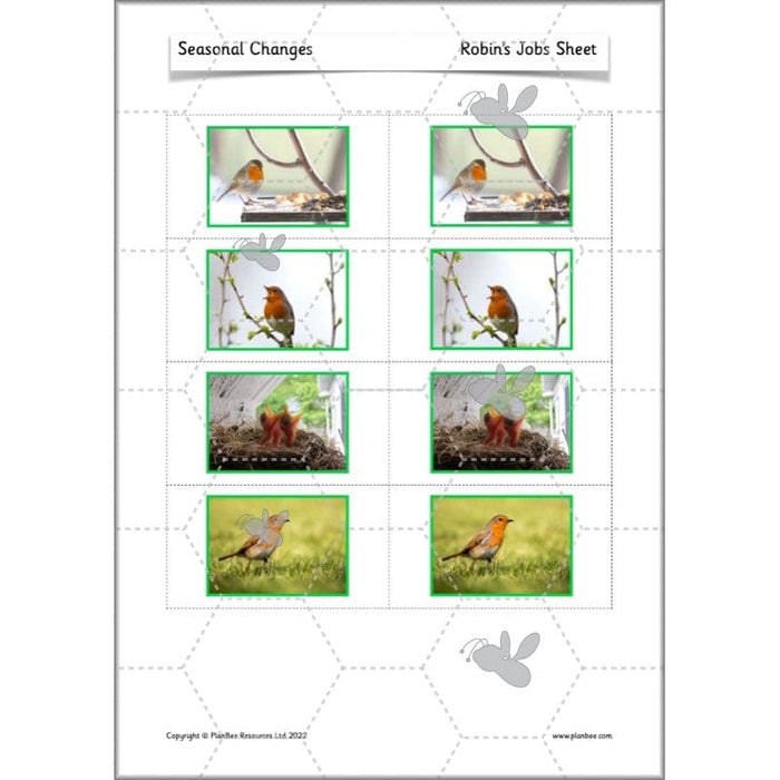PlanBee Seasonal Changes Year 1 Science Lesson Plans for KS1