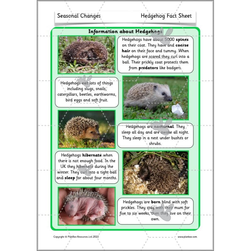 PlanBee Seasonal Changes Year 1 Science Lesson Plans for KS1