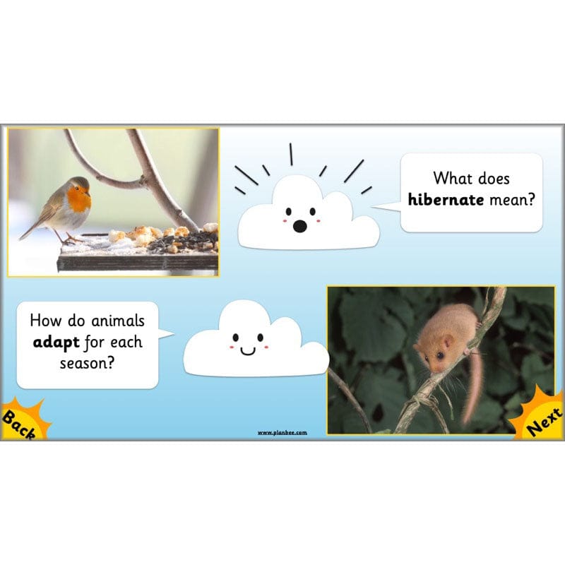 PlanBee Seasonal Changes Year 1 Science Lesson Plans for KS1