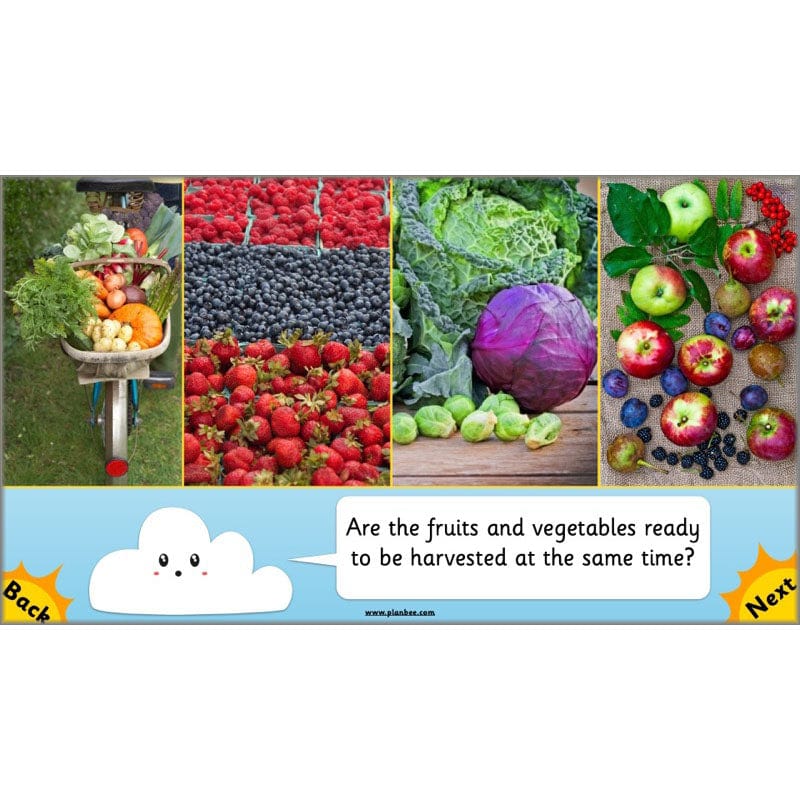 PlanBee Seasonal Changes Year 1 Science Lesson Plans for KS1