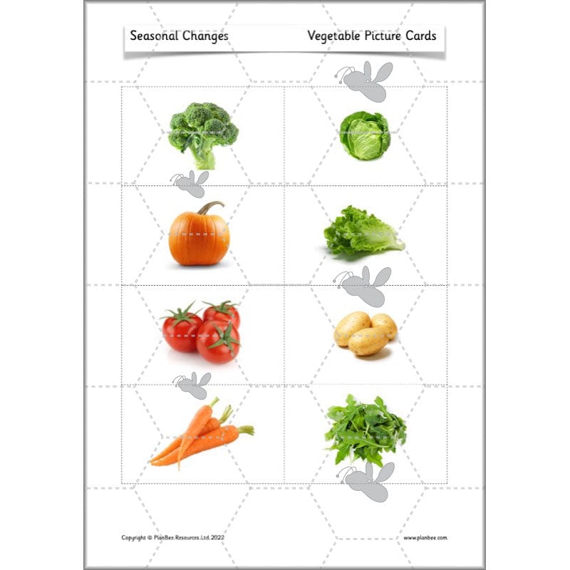 PlanBee Seasonal Changes Year 1 Science Lesson Plans for KS1