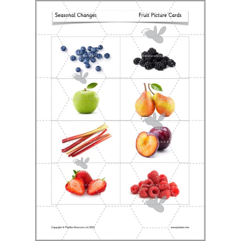 PlanBee Seasonal Changes Year 1 Science Lesson Plans for KS1