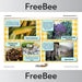 PlanBee British Food Word, Picture and Description Cards | PlanBee
