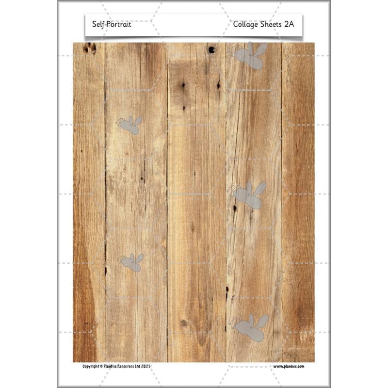 PlanBee Self Portrait: Primary Art Lessons for Year 1 & Year 2