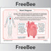 PlanBee FREE Simple Heart Diagram to label by PlanBee