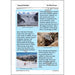 PlanBee Spain and Catalonia: KS2 Geography scheme of work Year 3 & Year 4
