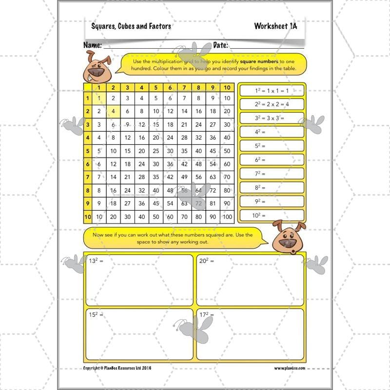 PlanBee Square Numbers, Cube Numbers and Factor Pairs | KS2 Year 5