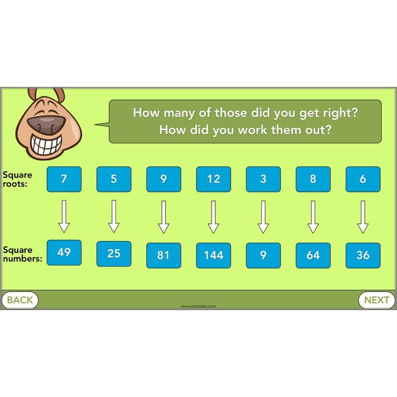 PlanBee Square Numbers, Cube Numbers and Factor Pairs | KS2 Year 5