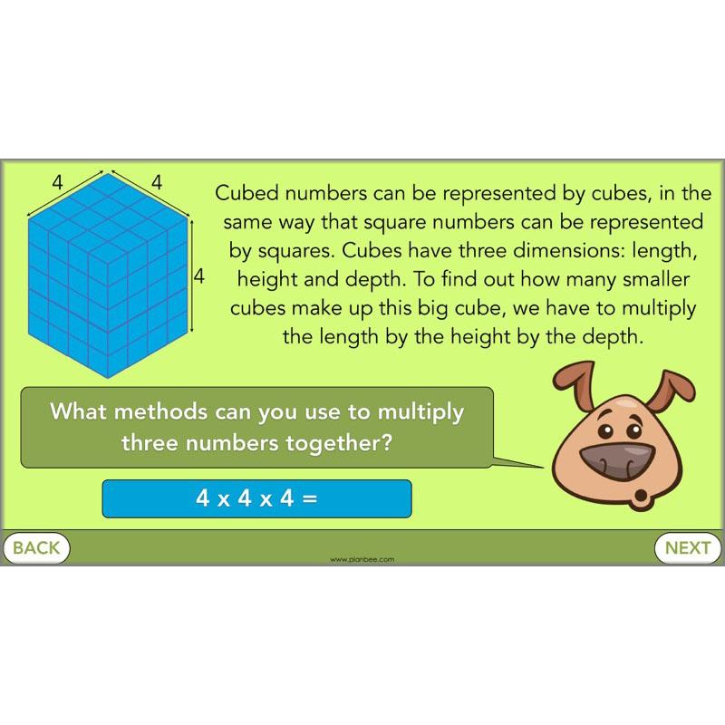 PlanBee Square Numbers, Cube Numbers and Factor Pairs | KS2 Year 5