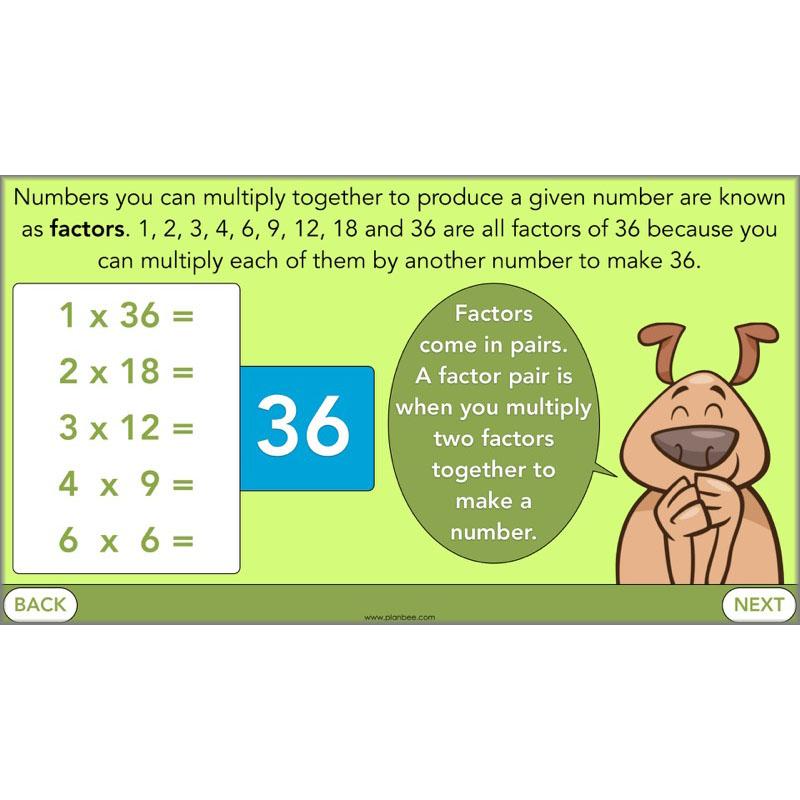 PlanBee Square Numbers, Cube Numbers and Factor Pairs | KS2 Year 5