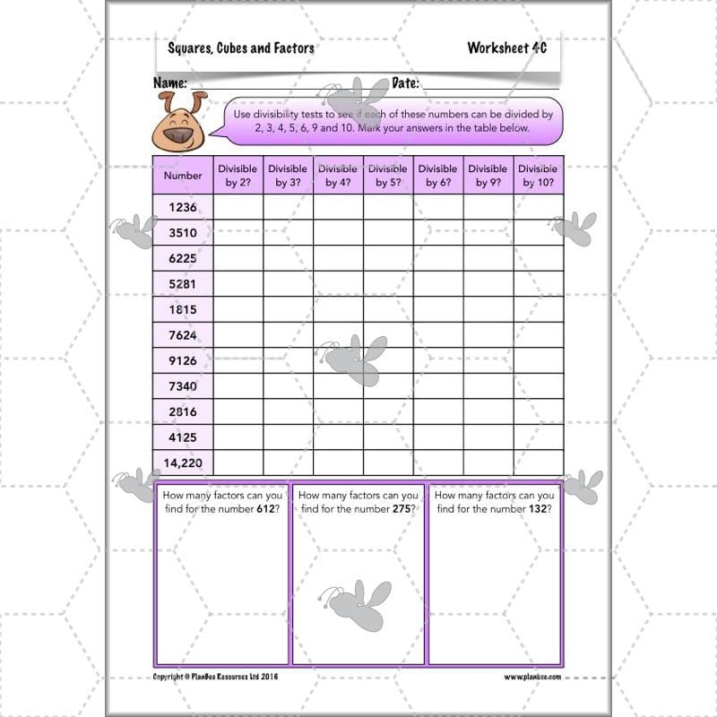 PlanBee Square Numbers, Cube Numbers and Factor Pairs | KS2 Year 5