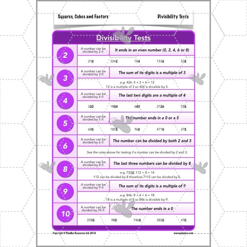 PlanBee Square Numbers, Cube Numbers and Factor Pairs | KS2 Year 5
