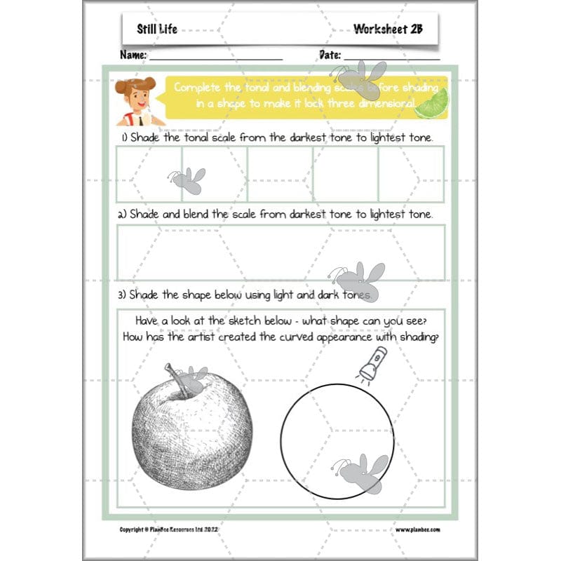PlanBee Still Life Planning | KS2 Art