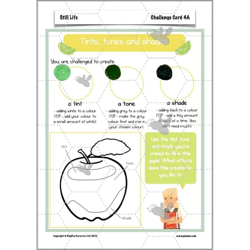 Still Life KS2 Art Downloadable Lesson Pack by PlanBee