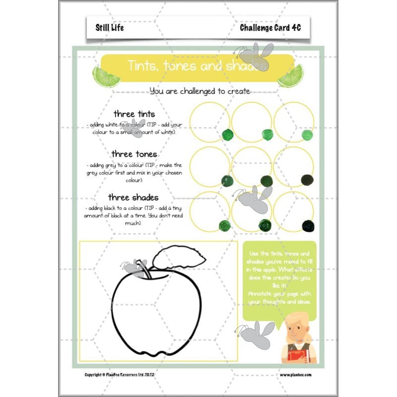 PlanBee Still Life Planning | KS2 Art