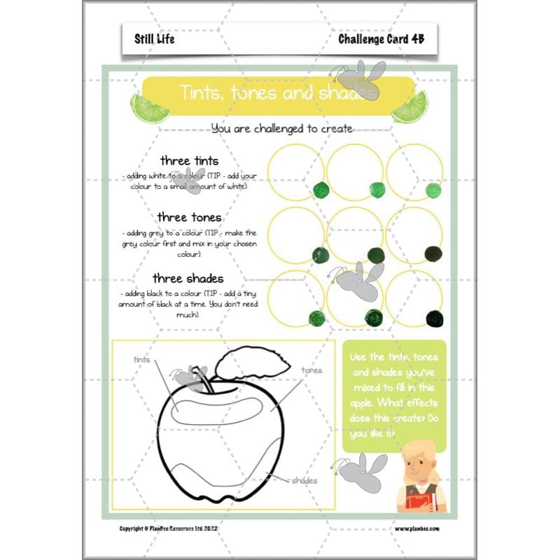 PlanBee Still Life Planning | KS2 Art