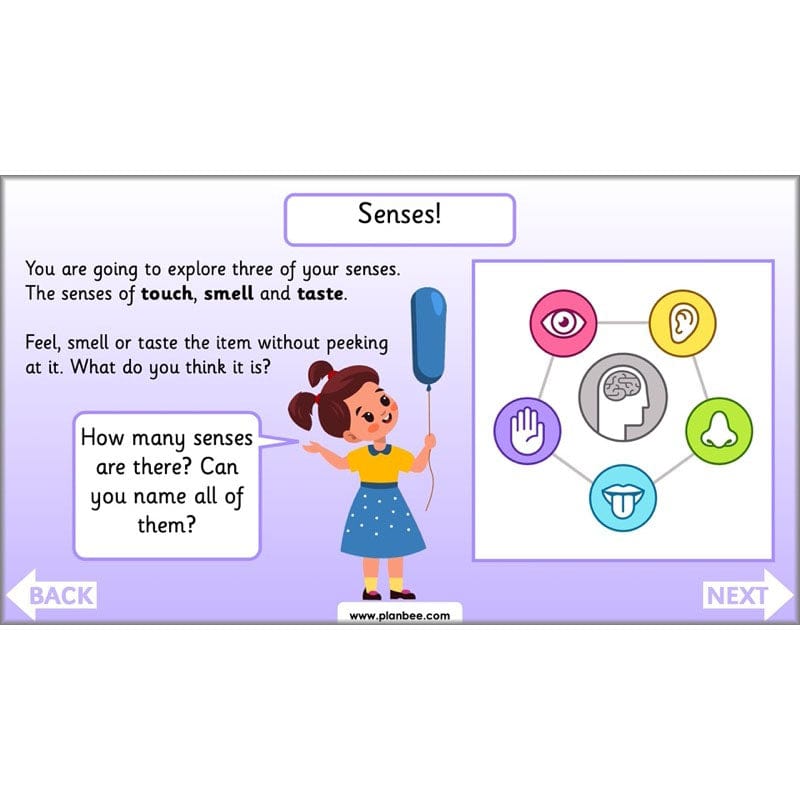 PlanBee Super Scientists Year 2 Working Scientifically | PlanBee