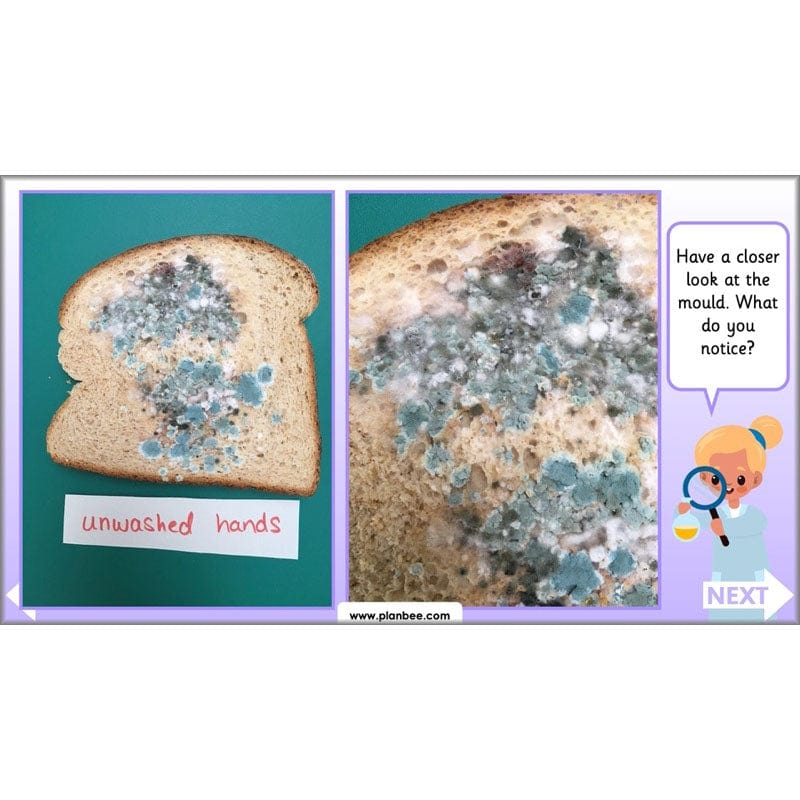 PlanBee Super Scientists Year 2 Working Scientifically | PlanBee