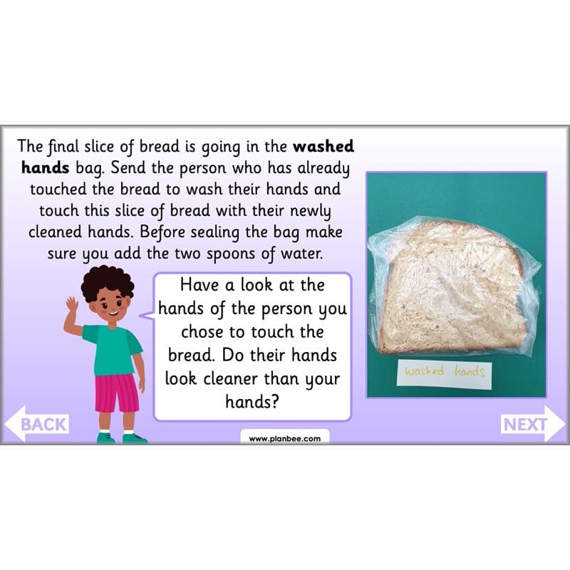 PlanBee Super Scientists Year 2 Working Scientifically | PlanBee