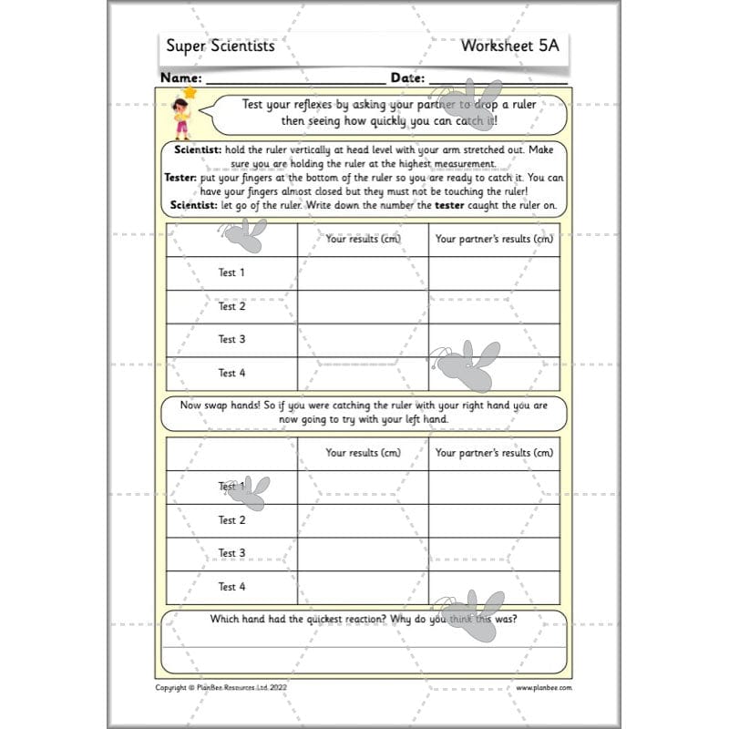 PlanBee Super Scientists Year 2 Working Scientifically | PlanBee