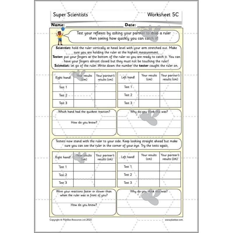 PlanBee Super Scientists Year 2 Working Scientifically | PlanBee