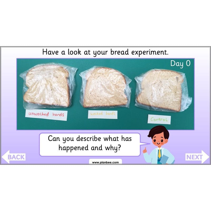 PlanBee Super Scientists Year 2 Working Scientifically | PlanBee