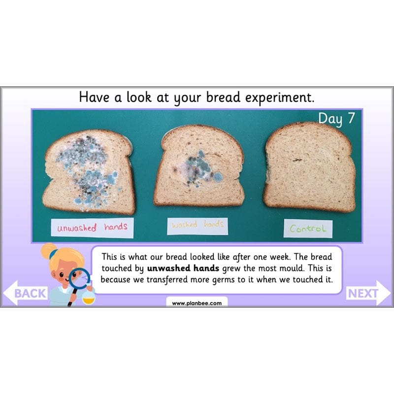 PlanBee Super Scientists Year 2 Working Scientifically | PlanBee