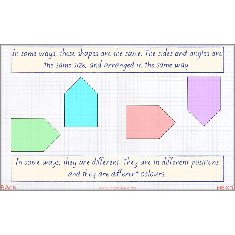 PlanBee Symmetry, Reflection & Coordinates Year 5 Maths 