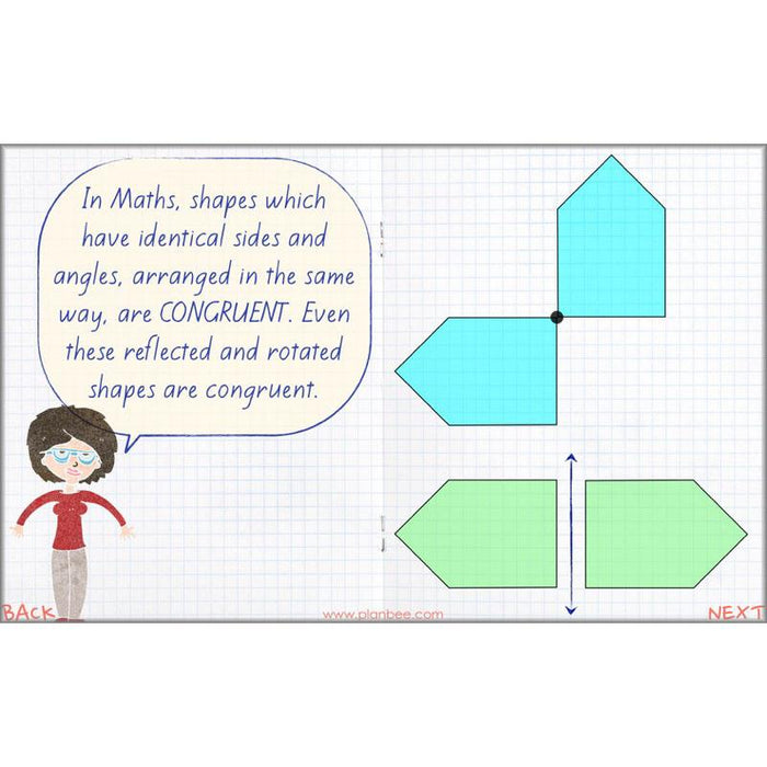 PlanBee Symmetry, Reflection & Coordinates Year 5 Maths 