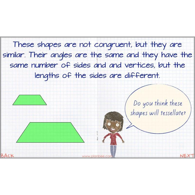 PlanBee Symmetry, Reflection & Coordinates Year 5 Maths 