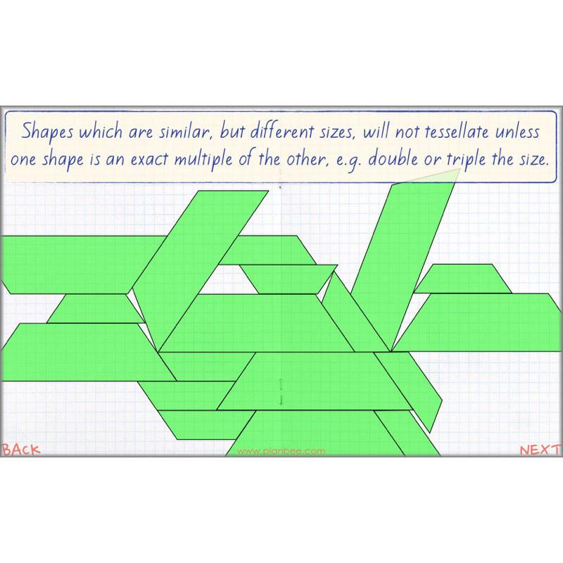 PlanBee Symmetry, Reflection & Coordinates Year 5 Maths 