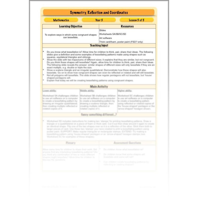 PlanBee Symmetry, Reflection & Coordinates Year 5 Maths 