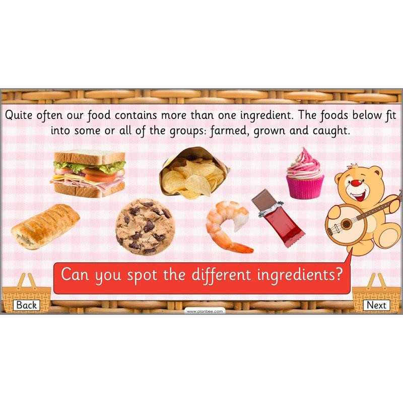 PlanBee Teddy Bears Picnic Ideas and DT Lessons by PlanBee