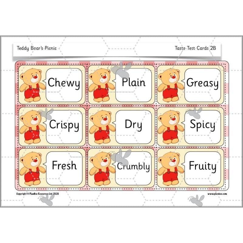 PlanBee Teddy Bears Picnic Ideas and DT Lessons by PlanBee
