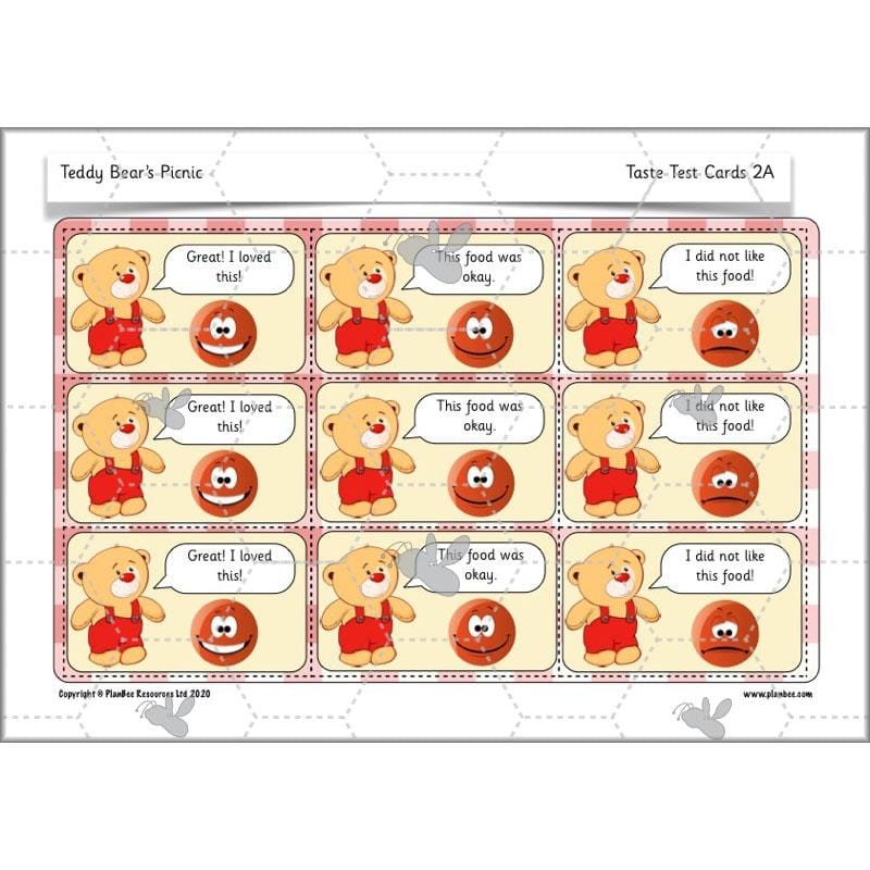PlanBee Teddy Bears Picnic Ideas and DT Lessons by PlanBee