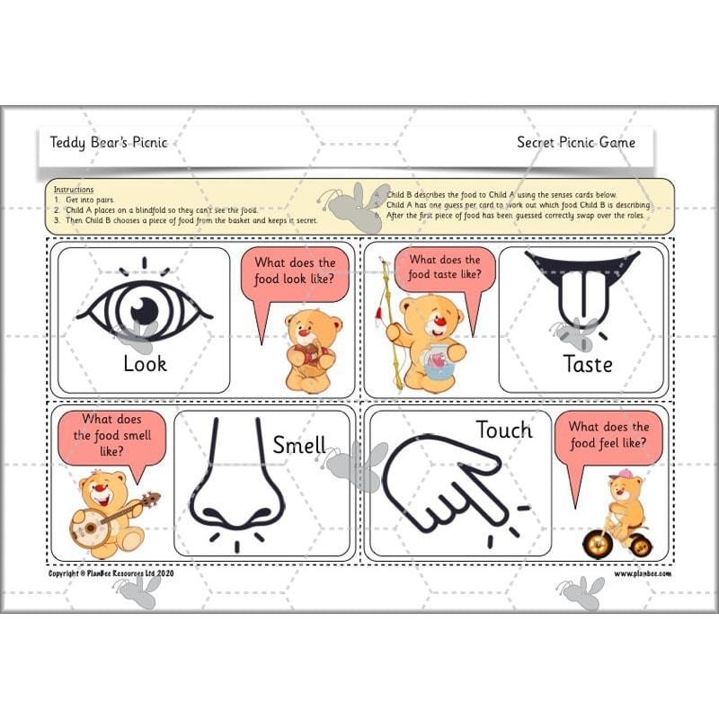 PlanBee Teddy Bears Picnic Ideas and DT Lessons by PlanBee