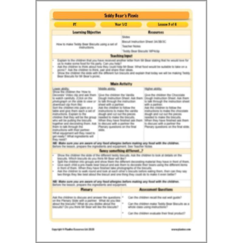 PlanBee Teddy Bears Picnic Ideas and DT Lessons by PlanBee