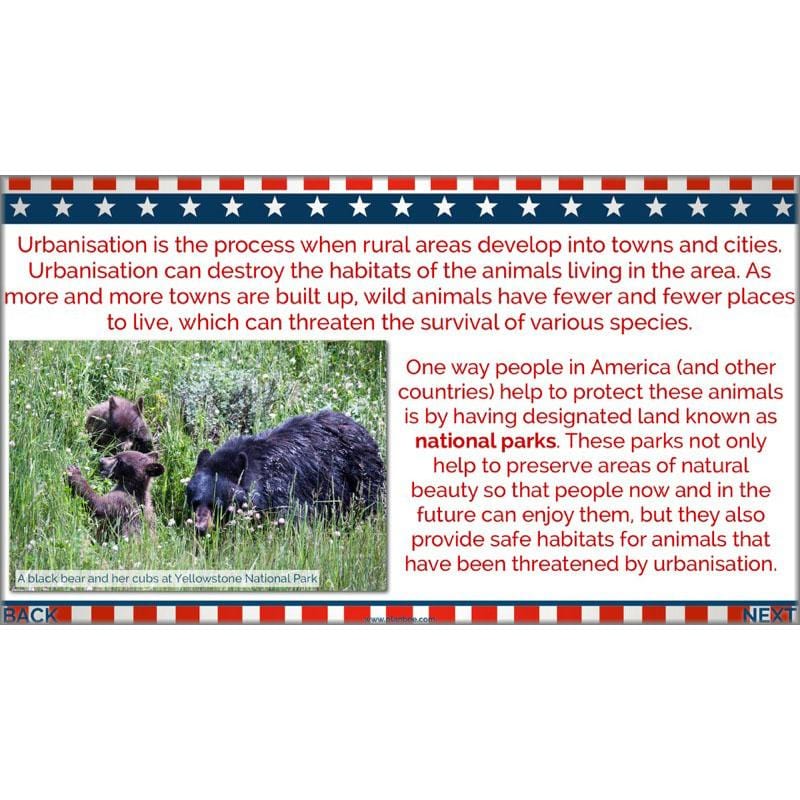 PlanBee The USA: KS2 Geography scheme of work for Year 3 & Year 4