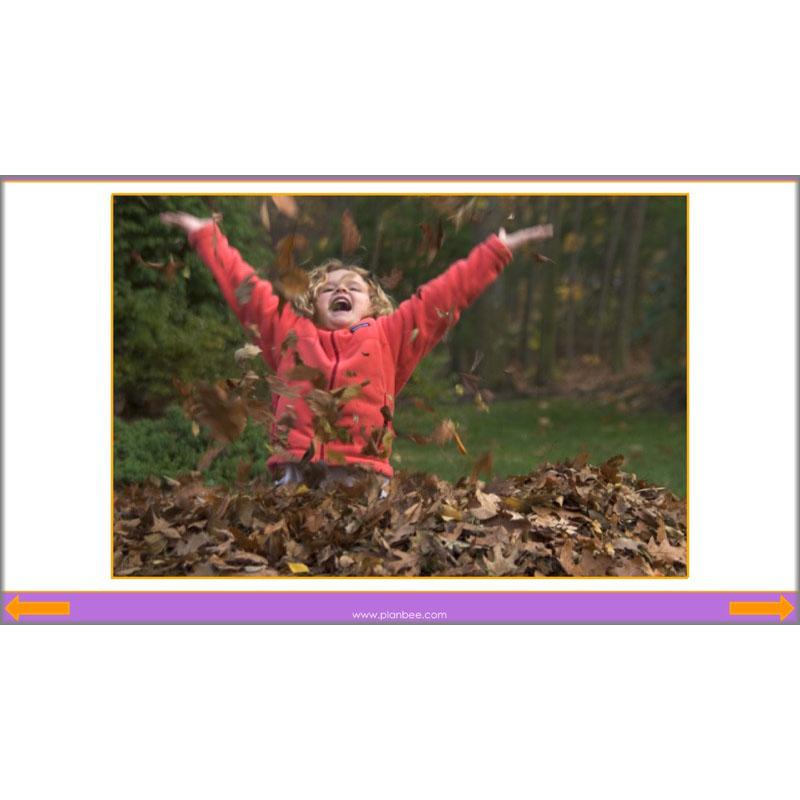 PlanBee The Four Seasons KS1 Lesson Plans, Slides & Worksheets for Year 1 & 2