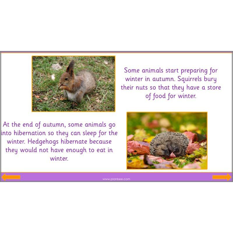 PlanBee The Four Seasons KS1 Lesson Plans, Slides & Worksheets for Year 1 & 2