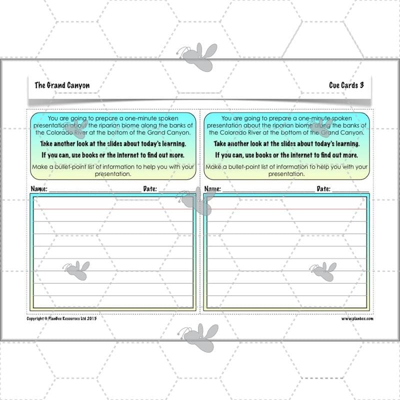 PlanBee The Grand Canyon KS2 Geography Lesson Plans