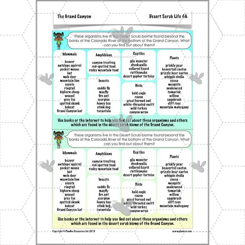 PlanBee The Grand Canyon KS2 Geography Lesson Plans