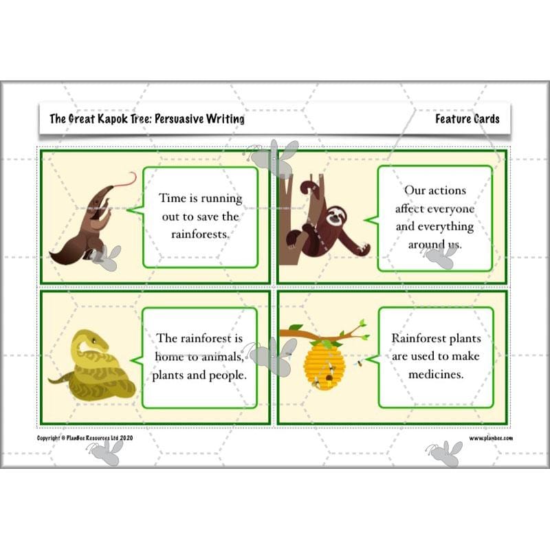 PlanBee The Great Kapok Tree Planning Year 4 | PlanBee				