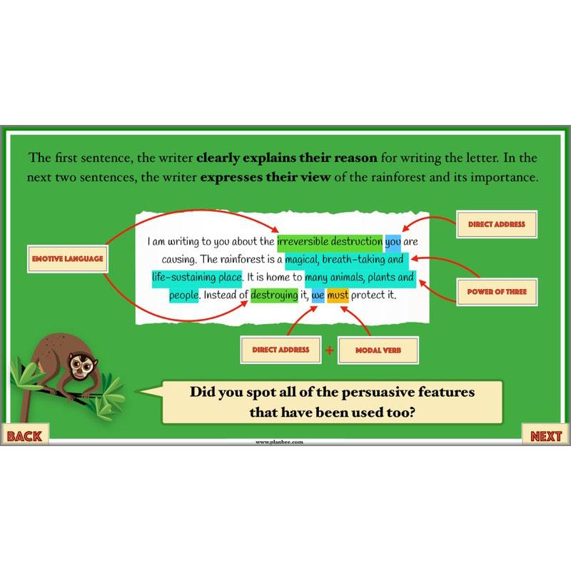 PlanBee The Great Kapok Tree Planning Year 4 | PlanBee				