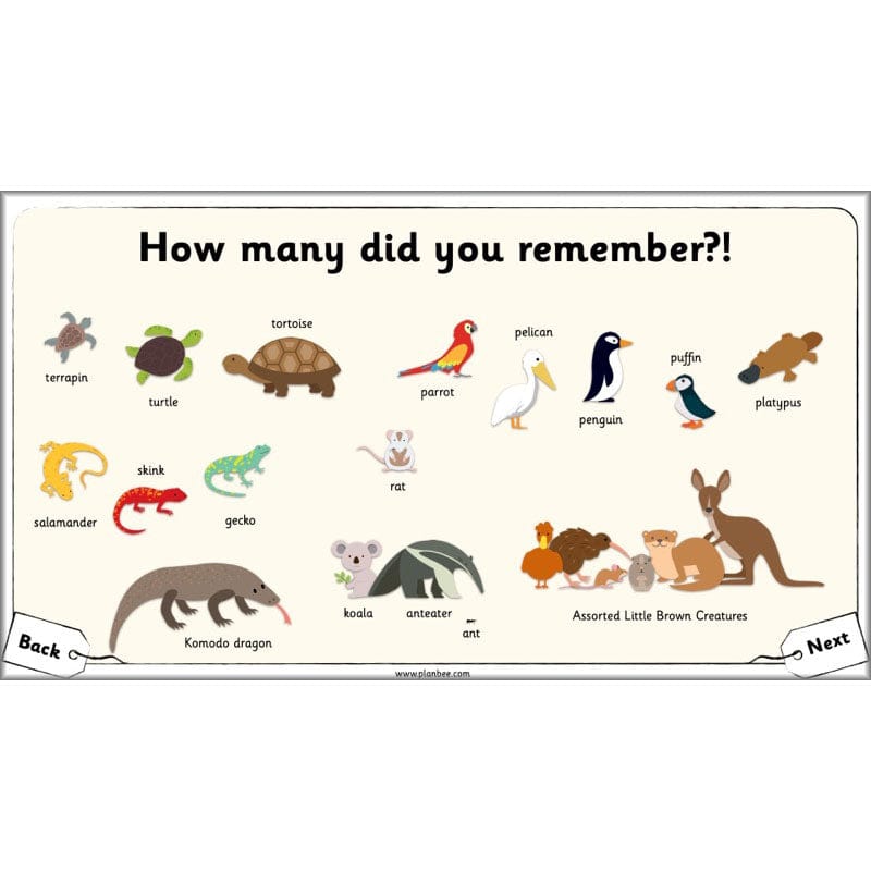 PlanBee The Great Pet Sale Resources KS1 | Year 1 English | PlanBee